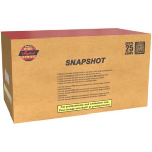 Snapshot