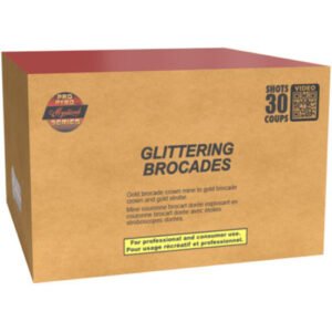 Glittering Brocades